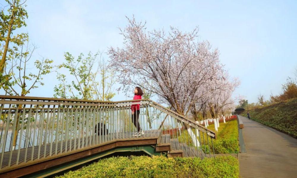 漫步春光里 遂宁 · 时光花境 春色如许