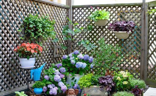 阳台|头次见有人这样装修阳台,不得不感叹聪明,实用又美观