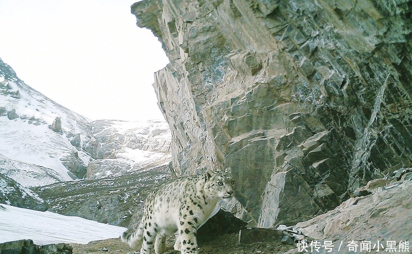地下世界 阿尼玛卿山下发现15万平方公里的空洞，青藏高原是空心的？