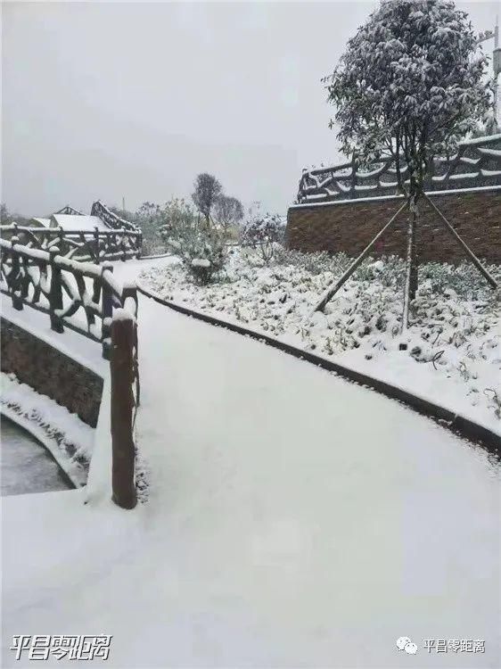 朋友圈|平昌下雪了，照片刷爆朋友圈！却带来了一个坏消息....