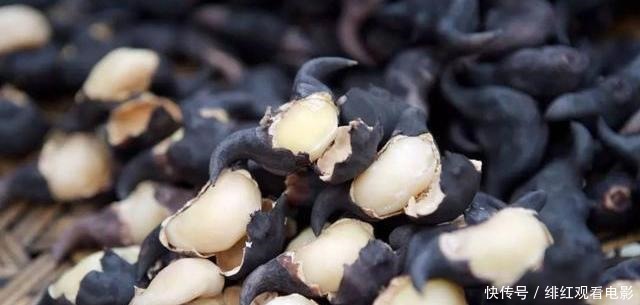 這“4種不甜”的素菜,醫(yī)生建議血糖偏高的人,盡量少吃