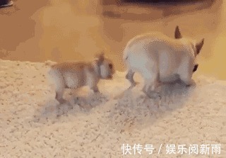 |搞笑GIF:兄弟 对不住了 等我结婚的时候你记得过来