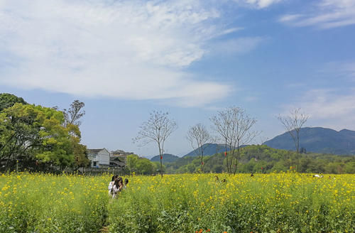 福建省少见的古文化村，就藏在宁德福安，且保存得极为原生态！