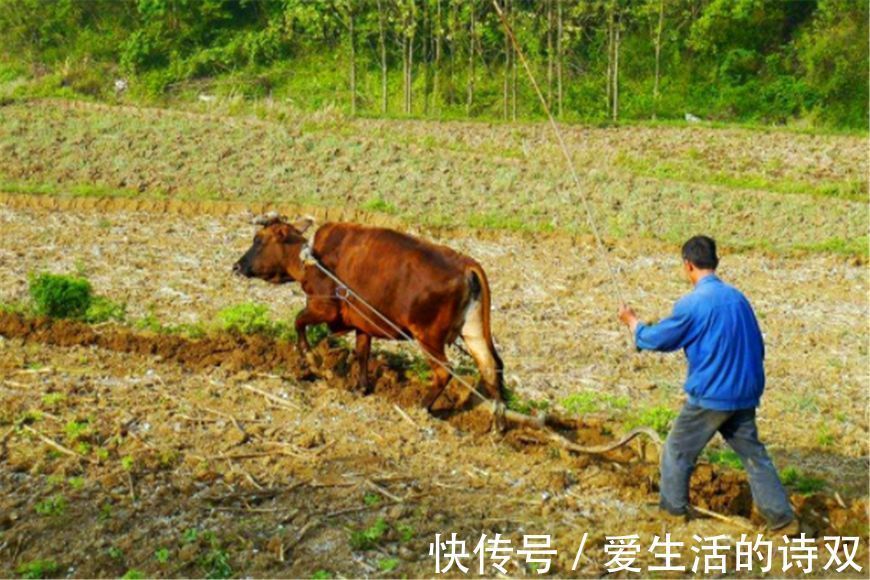 全城！才女招亲出上联，全城才子无人能对，后被一9岁乞丐对出千古绝对