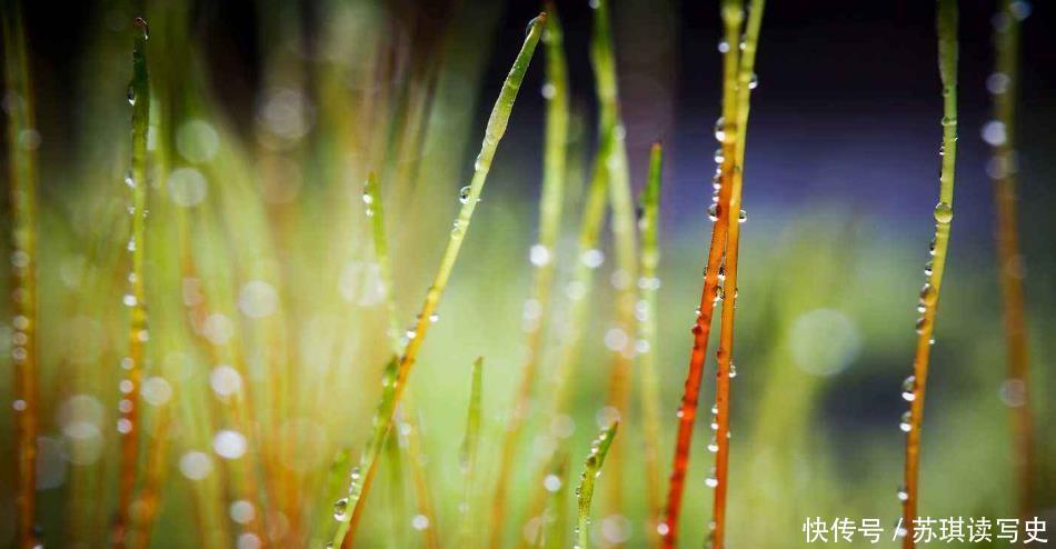 众人|王勃和才子们抽签赛诗,抽中了很难写的“接”字,却照样完胜众人