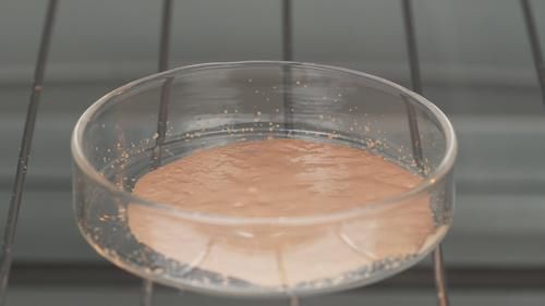 水润度|卡姿兰小夜猫粉底液怎么样?极限试验评测带你了解