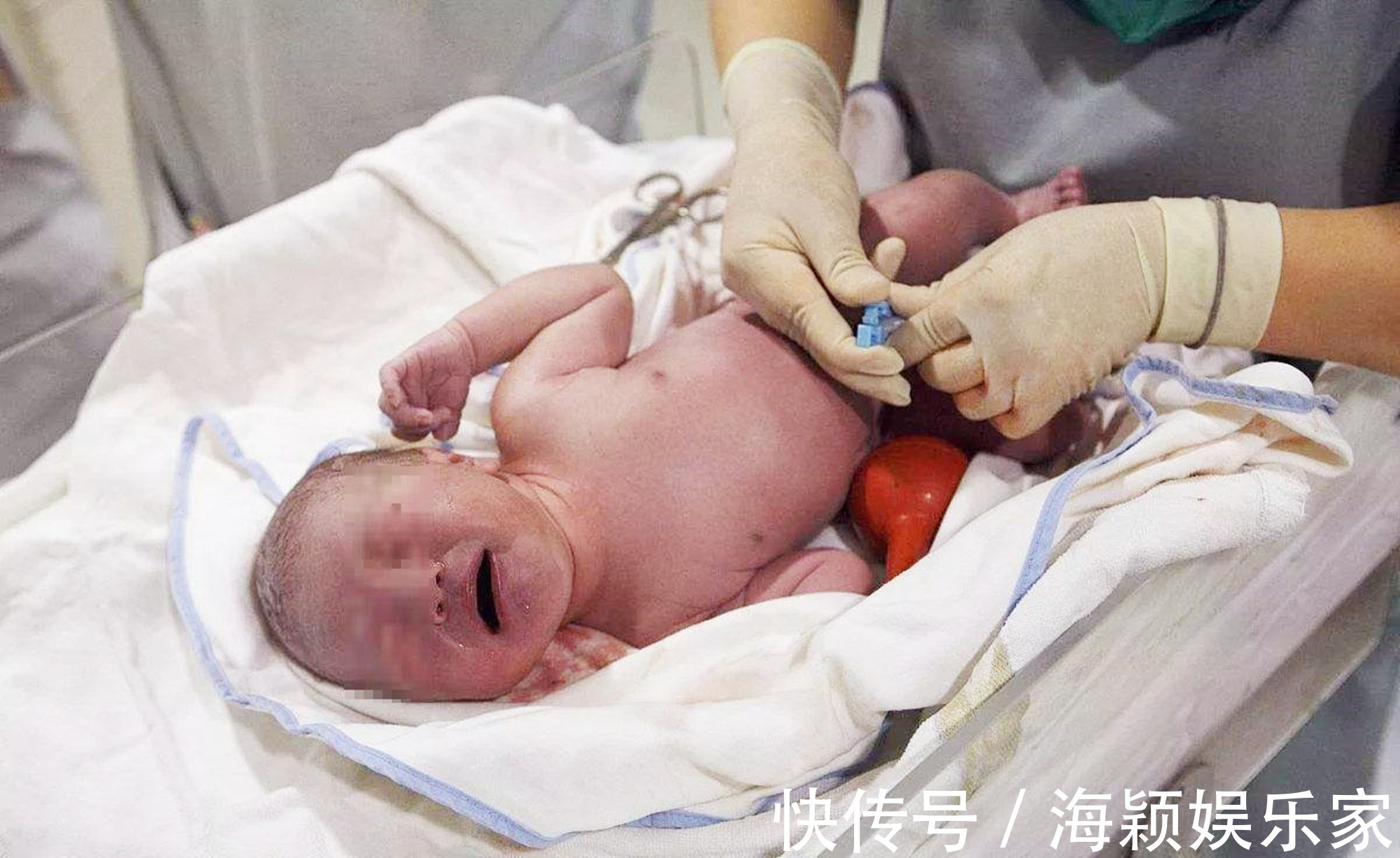 狸猫换太子|宝宝出生后用实力“复仇”,网友笑评弄疼我了还想走没门