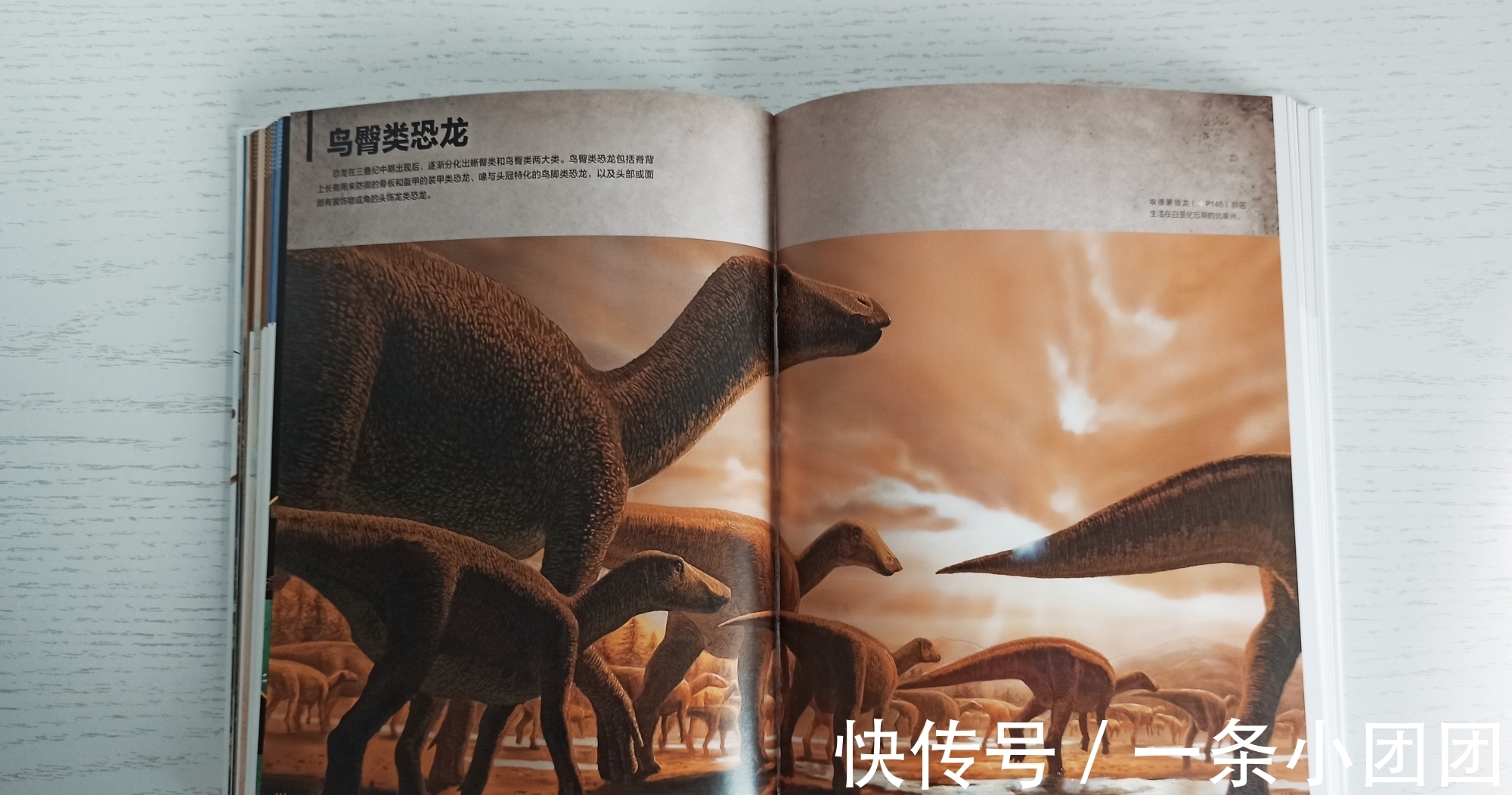 哆啦a梦#一本关于恐龙的百科书,让孩子爱上恐龙的世界