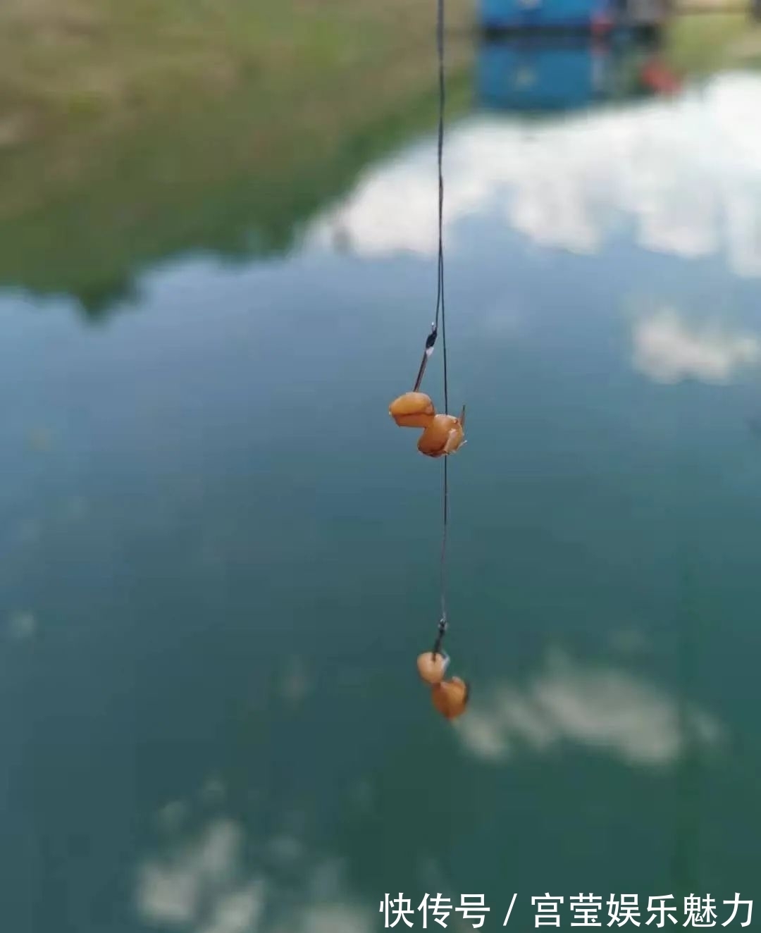 水温|白露到、鱼好钓，这几条技巧要牢记！