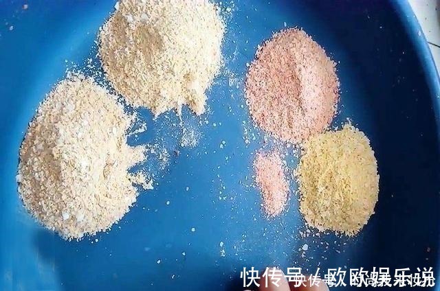 远离错误的用饵方法,用饵才能得心应手,钓鱼不再难