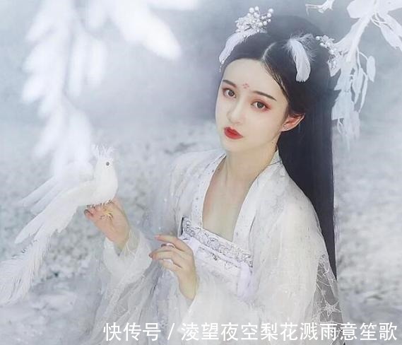 沈迟|穿书文穿成黑化徒弟的师傅，高冷禁欲师尊vs隐忍暗恋反派！