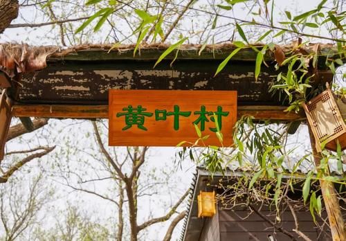 走过|西山黄叶村，隐藏着一条曹雪芹走过的小道