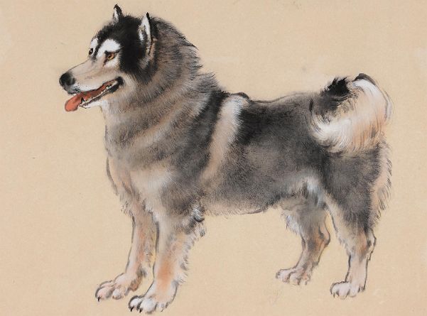 事业|10月14号起,财气进门,势如破竹,事业飞快发展,钱财挡不住