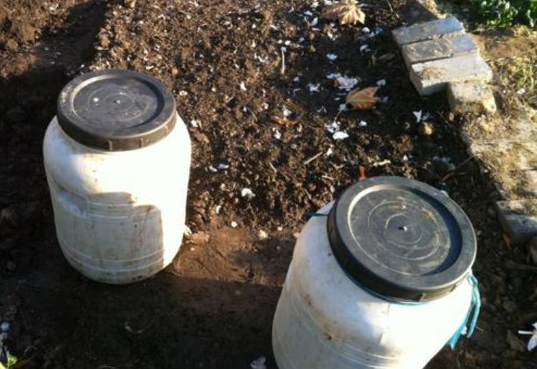 家家都有的厨房“垃圾”,用来养花都嫌臭,其实它是最佳的促花肥