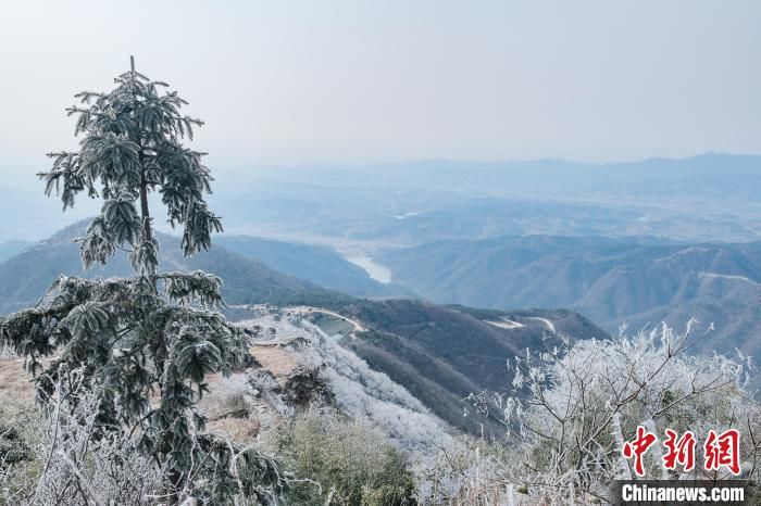 刘玲莉|雪后初霁的湖北红安老君山