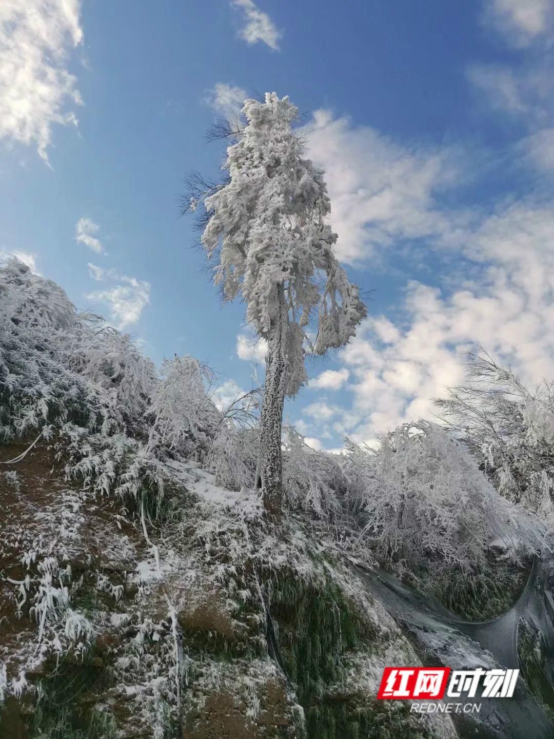 首场|城步南山风景名胜区迎来“首场雾凇美景”