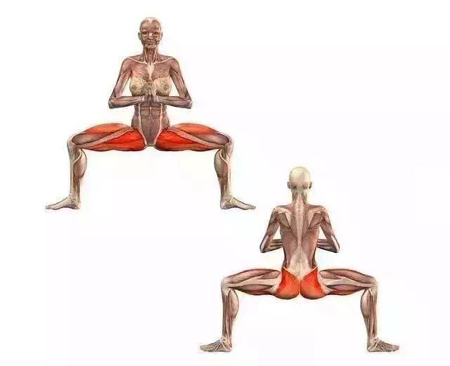 私教课|这个比耗青蛙趴更靠谱高效的下横叉方法,只有私教课才会教你