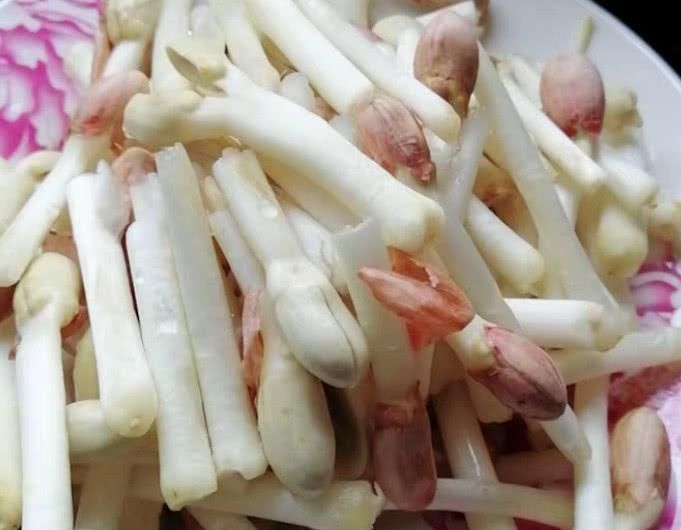 9成人不知它“补血”,晚餐吃一盘,气血足,显年轻,补水又洗肠