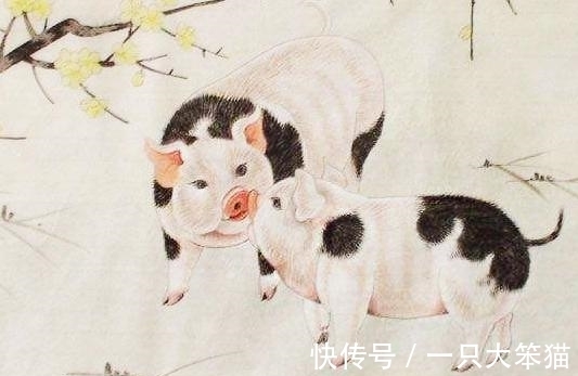 惊喜|10月中旬，财多福多，贵人如云，3大生肖事业蓬勃发展，惊喜连连