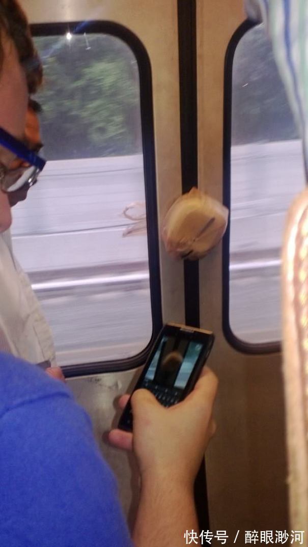 |盘点人们遇到的那些既倒霉又搞笑的时刻,看完不厚道地笑了