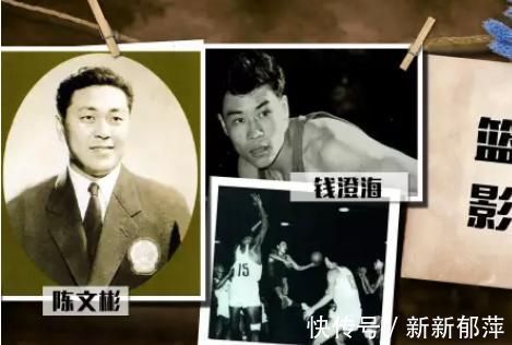 波波维奇|中国男篮最年轻主帅:24岁接手国家队 培养出国产版波波维奇