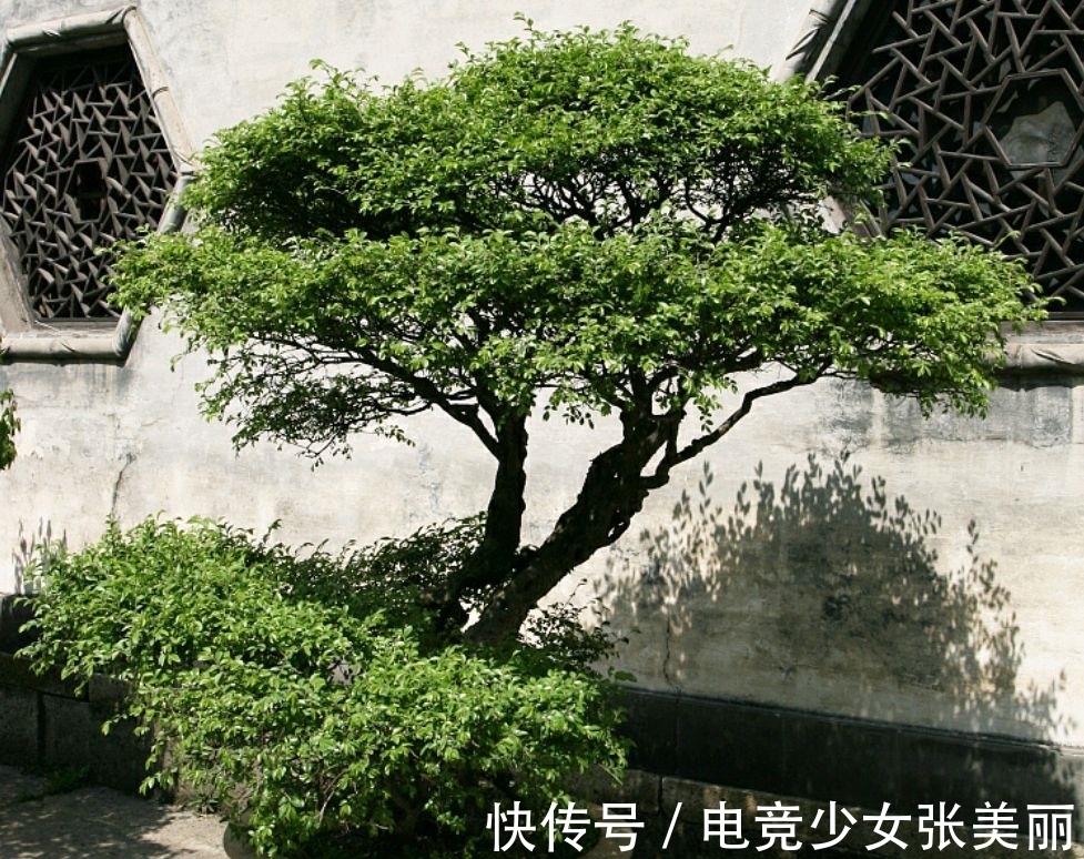 孤独#20首古诗词,写尽了人生几十年的各种各样的孤独