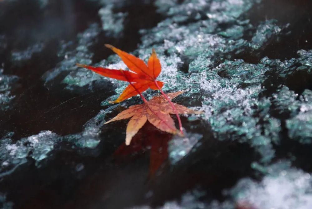 惊艳|注意！如皋初雪惊艳整个朋友圈！降温结冰，上班路上注意安全！