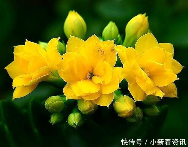 老祖宗|“命自我立,福自我求”记住老祖宗的这几句忠告,福报不请自来