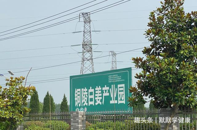 养阳|冬病夏治抓住一年中养阳的40天,阳虚的人记得提前安排好3件事