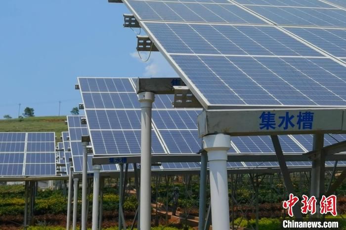 光伏 集水灌溉 生態修復 助力雲南綠色低碳循環發展 中國熱點