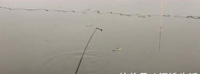 钓鱼二十年,如今才晓得,这三种鱼情的用漂“办法”,学会别外传