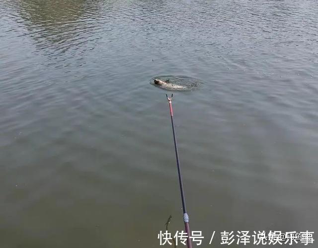 断线真的是因为鱼大吗？不改掉这几个习惯，线再粗也会秒切