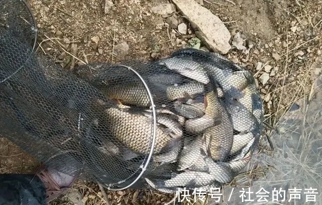 钓鱼|初冬钓大板鲫,这种常见的天气易“爆护”,很多钓友反而不重视