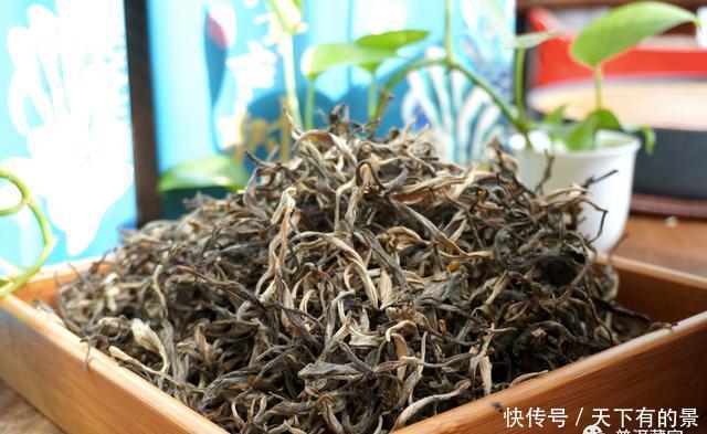 古树纯料|深度解析!纯料与拼配之争,哪个更好?