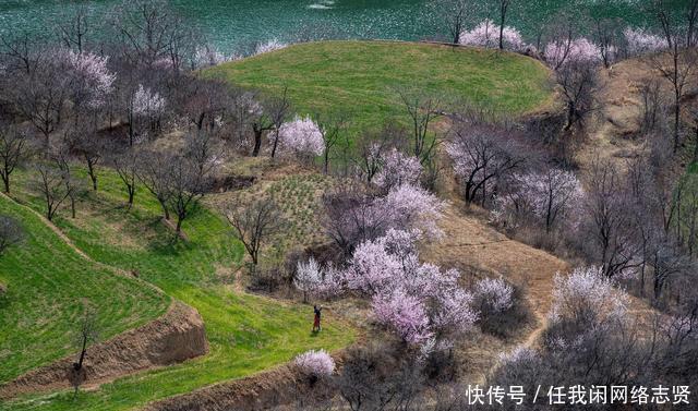 无人机在晋南大山发现桃花岛，7旬老夫妻隐居山中生活让人羡慕