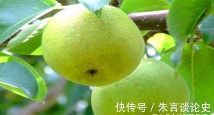 肌肤|女性不愿老太快，要坚持吃养生食物，延缓衰老，细腻肌肤，气色好