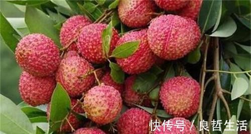 女性|女性养生,要学会坚持吃三种食物,排毒养颜、滋润肌肤