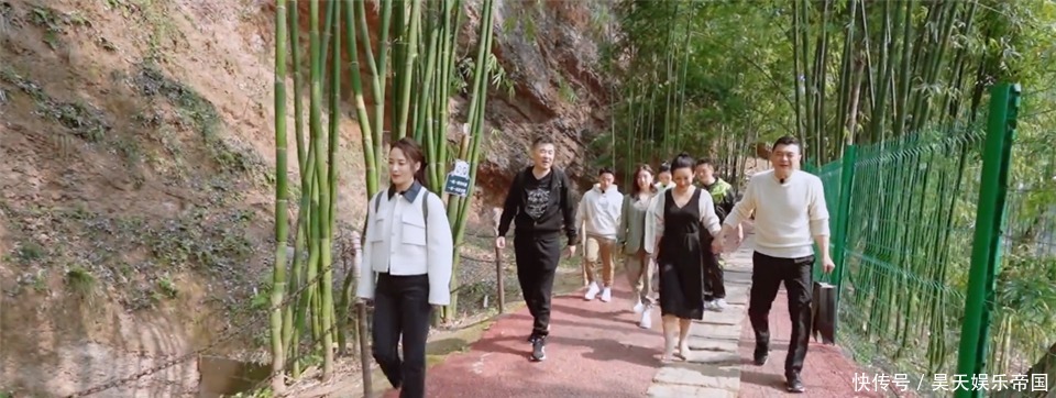 陈建斌 《妻子5》大变样,刘涛变导游林峯存在感弱,蒋勤勤陈建斌成爆点