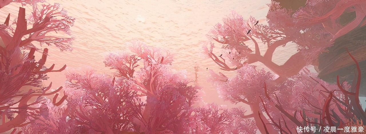 古人对海洋的向往以想象为基础,谈宋元涉海小说中的“脑洞”大开