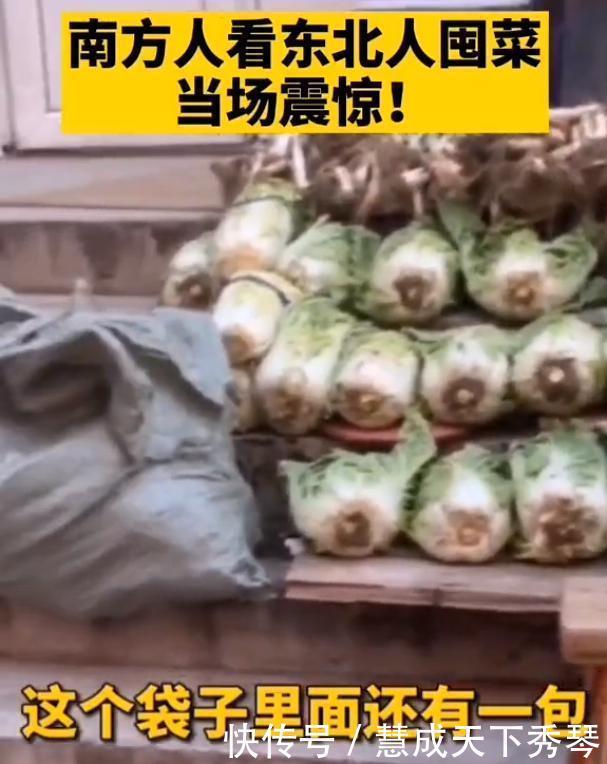 东北|当东北人开始囤菜,阵仗可以有多大南方人场面堪比部队站军姿
