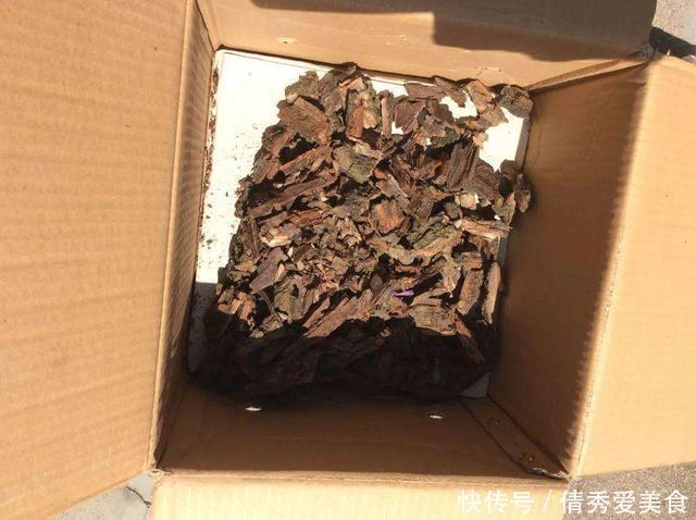 “生根剂”还需要买?路边捡点,直接扔盆里,30天就能看白根!