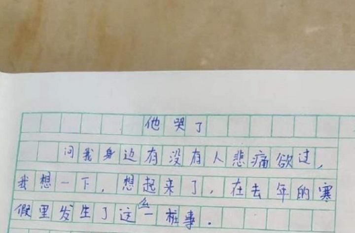 心情起伏的一天作文
