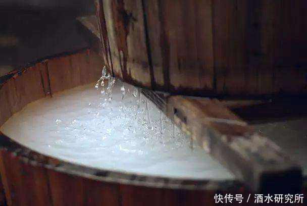 单宁|什么是发酵酒???