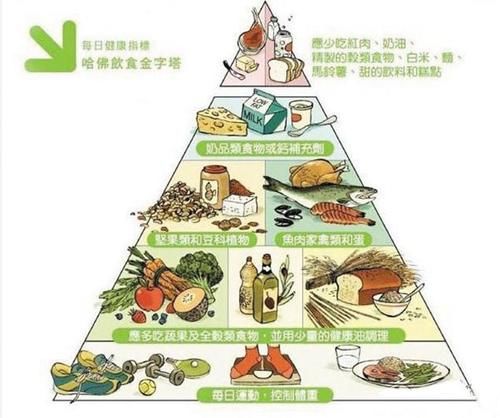 糖尿病|吃二甲双胍能降血糖吗?这3个方法,或可降低血糖