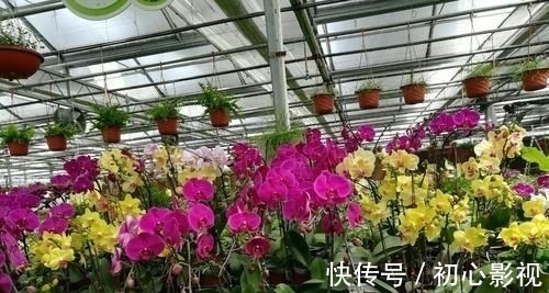 景点|北京一处植物天堂，有15个温室15个花园广场，就在四环内公交可达