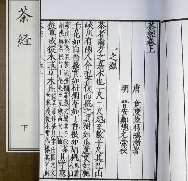 神农尝百草|茶的七件大事,最后一件99%人都不知道