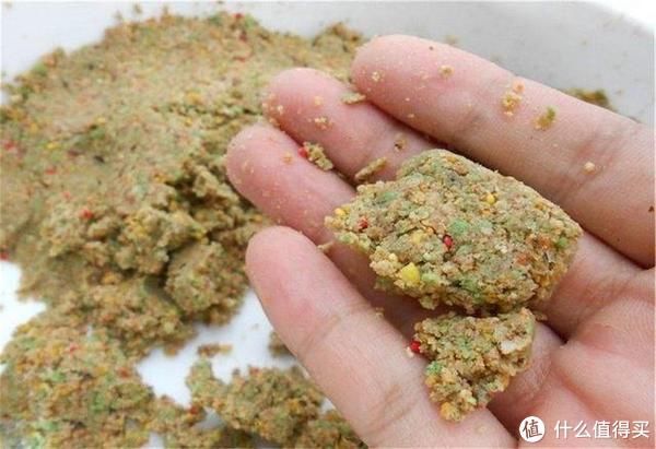 钓饵|夏季饵料反水怎么办？不妨试试这4招，快速搞定助你钓大鱼
