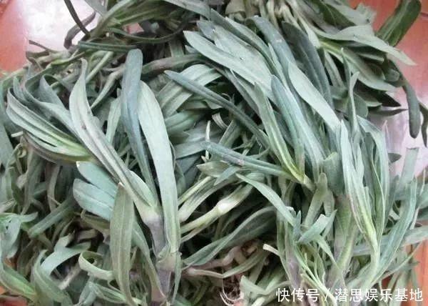 这种植物晒干了泡水喝，能止咳，村里很多老人喝，你见过吗？