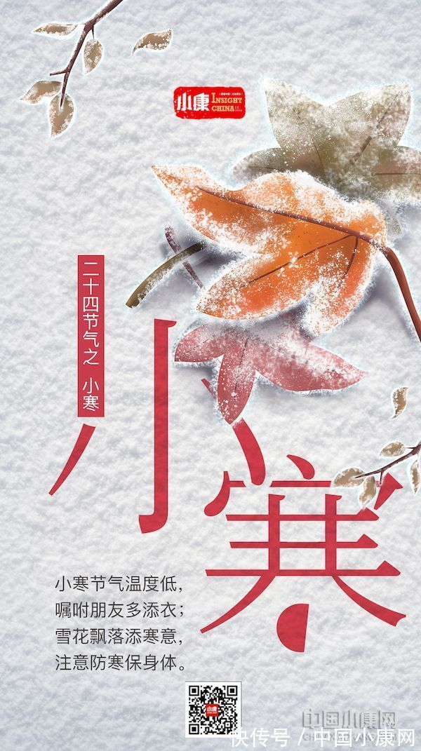 翠竹亭亭!万物有时 岁月成诗:打开二十四节气的另一种方式