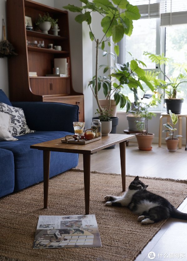 干净|房子住了3年,80后阿姨的家“干净如初”,参观她家,我也学会了